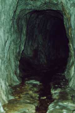 Interior de la cueva y del arroyo que nace dentro de ella